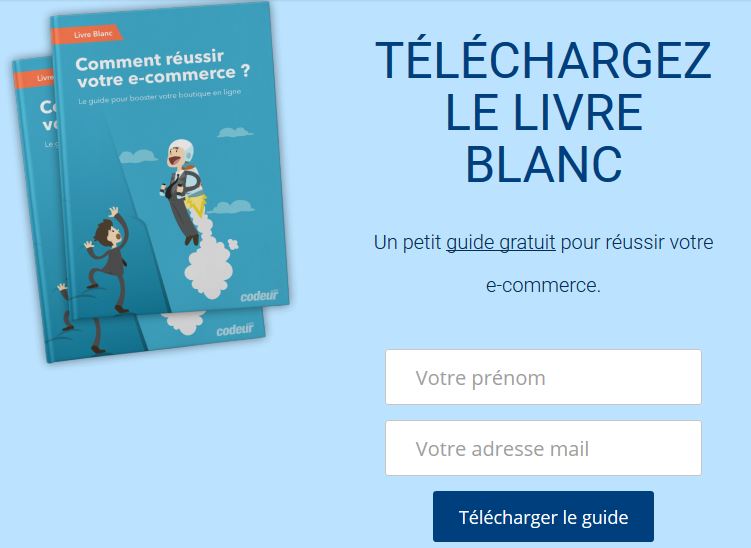 Exemple téléchargement de livre blanc