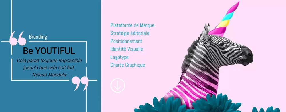 Exemple de visuel original (zebre/licorne)